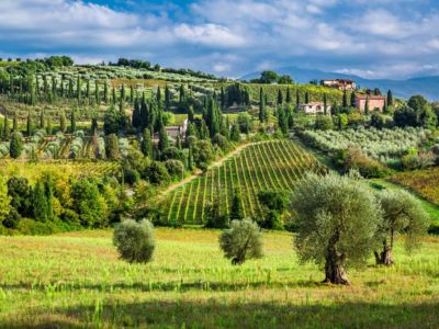 Visit wineries in Tuscany