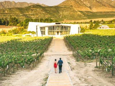 Visit Chile Wineries