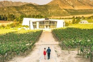 Visit Chilean Wineries
