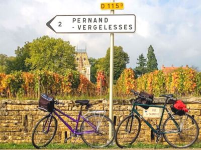 Visit French wineries