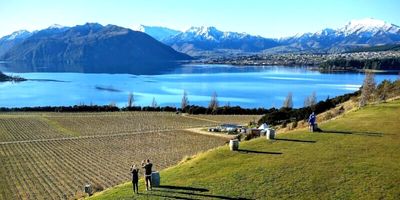 Visitez les vignobles néo-zélandais