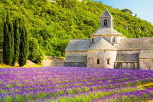 Visitez les vignobles de Provence
