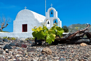 Visitez les vignobles grecs