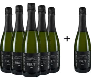 CL Package 6 (BRUT23 – 5+1) 