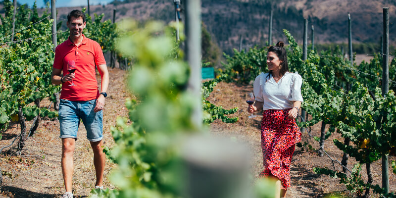 Coastal Elegance Tour & Tasting 