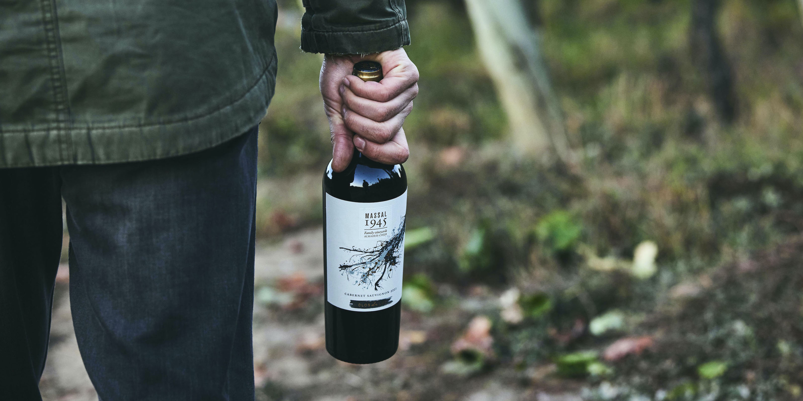 The Carmenere of Clos de Luz
