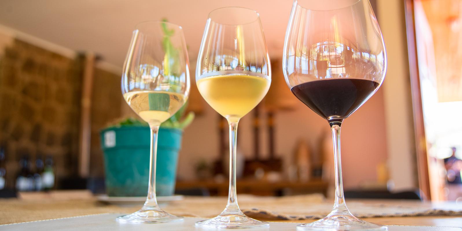 Casa Marin Experience: Tour & Tasting and 5 course Lunch