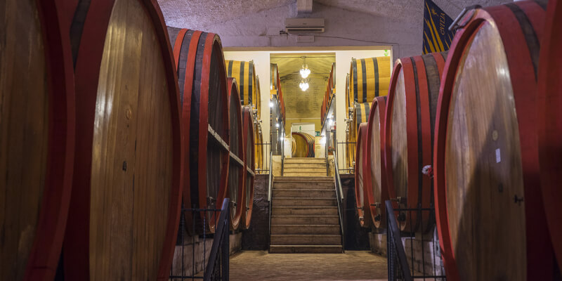 Guided Tour of the Historic Cellar