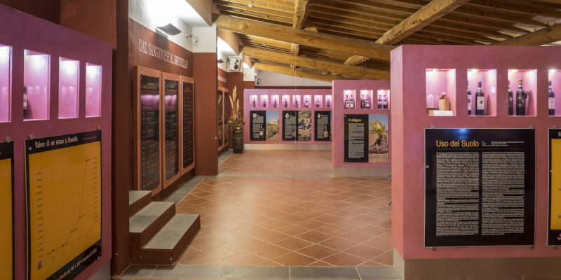 Guided Tour of the Brunello Museum