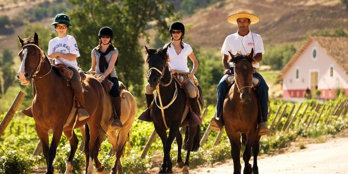 Cabalgata en el Viñedo