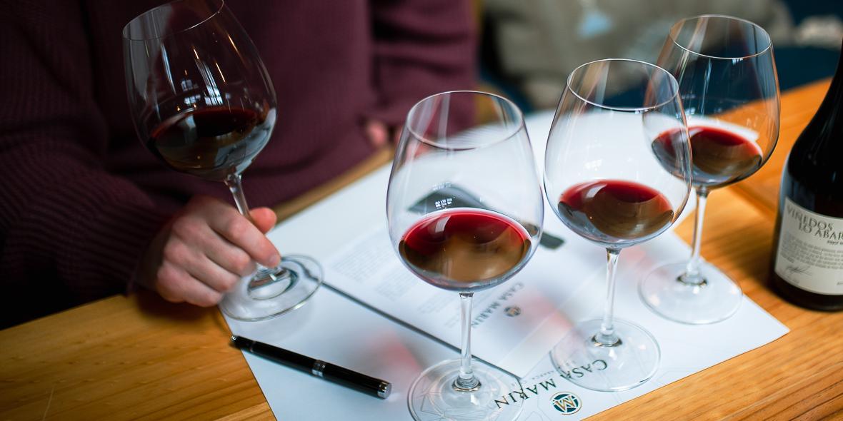 Blind Tasting & Tour Experience 