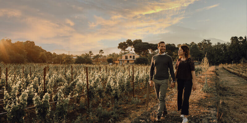 Sunset tour & dinner