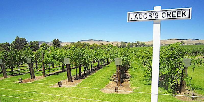 Buy Wine Direct | Winery Tours & Tastings | Jacob's Creek - VinTrail